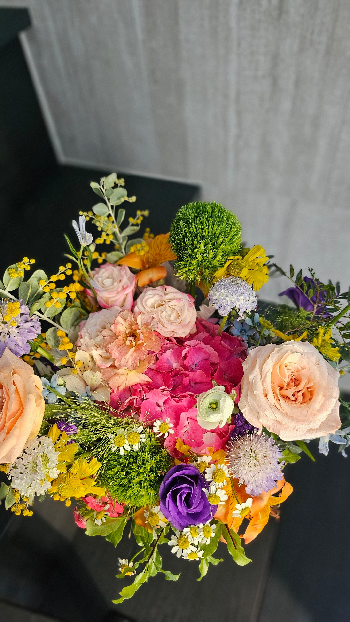 Terra's Choice - Bright & Joyful