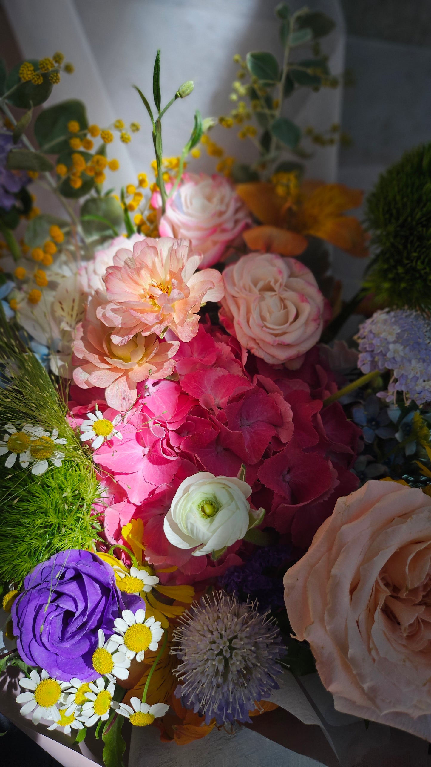 Terra's Choice - Bright & Joyful