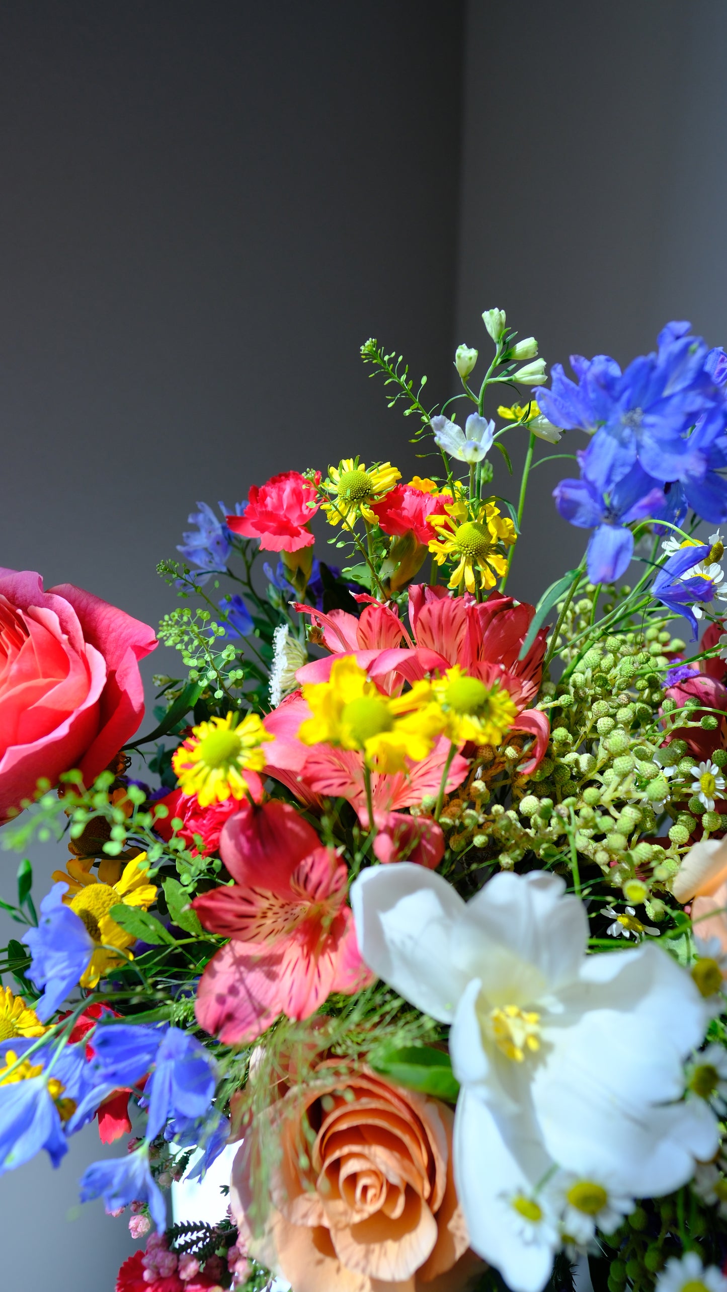 Terra's Choice - Bright & Joyful