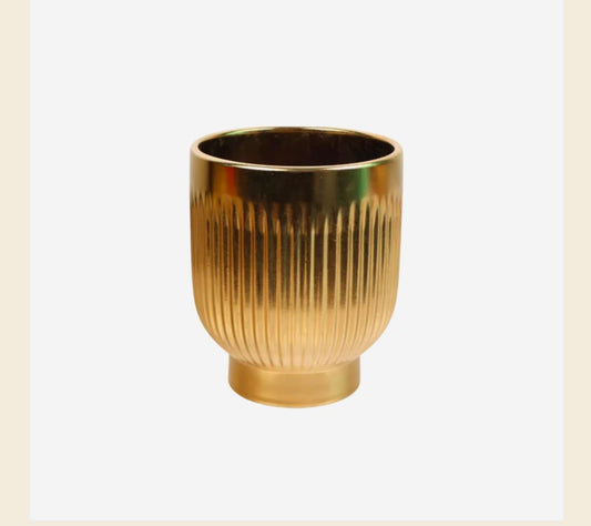 Prosperity Willow with Potted Orchid