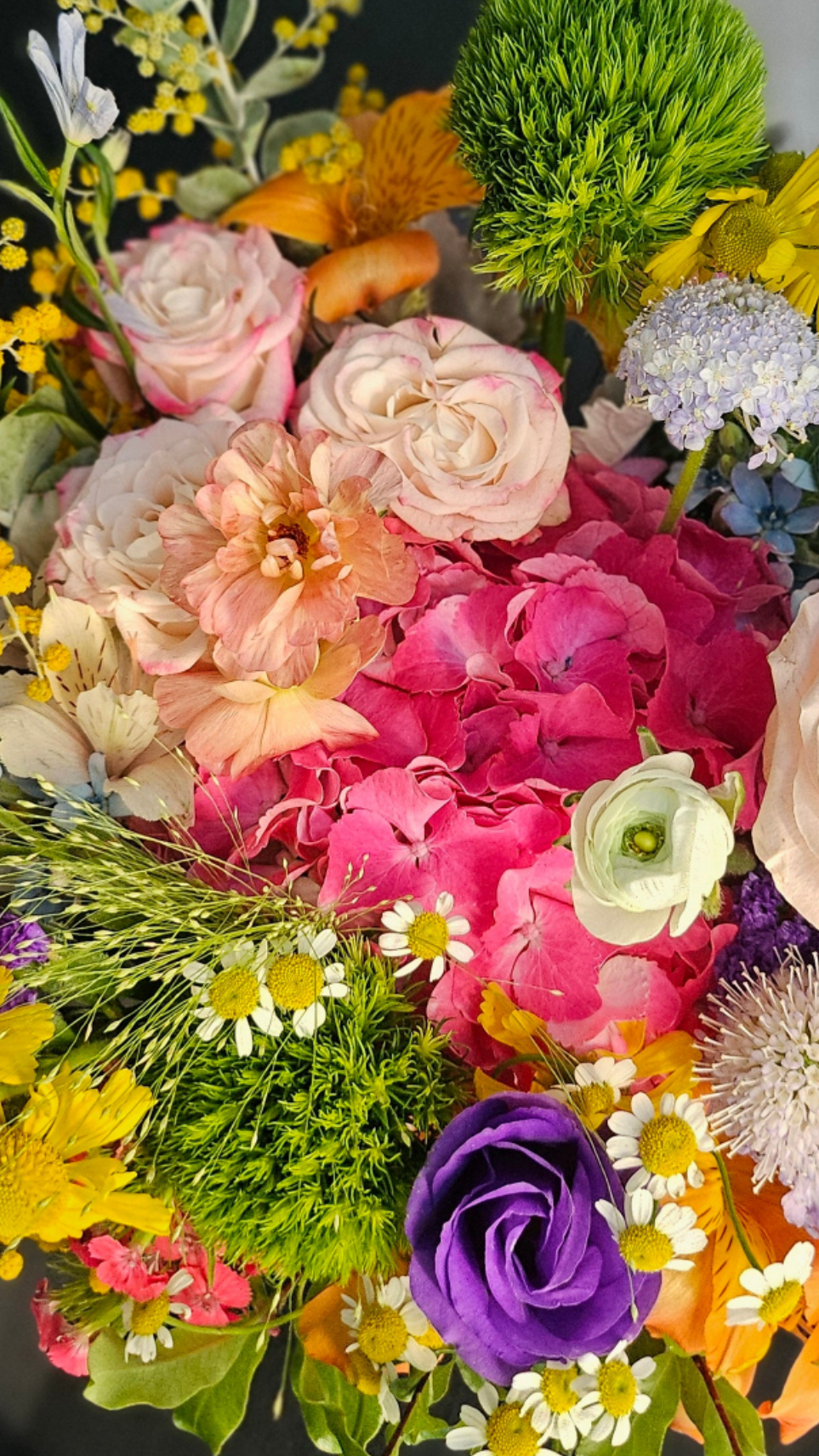 Terra's Choice - Bright & Joyful