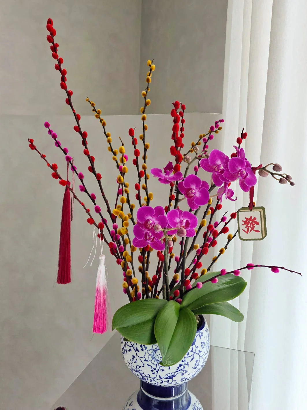 Braided Pachira Aquatica Kokedama (发财树) in Red & Gold