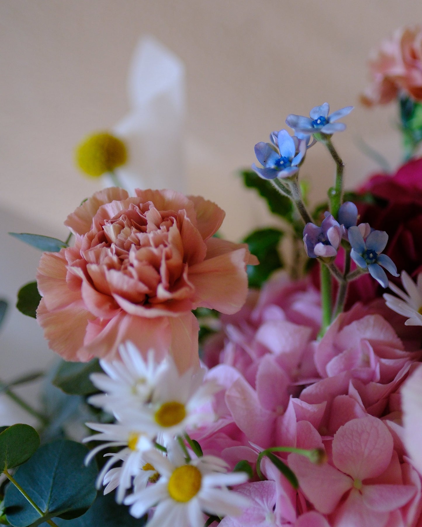 Playful and vibrant Motherâ's Day bouquet with dusty pink Dutch carnations, pink and red hydrangeas, Margarite daisies, and billy buttons designed for the fun-loving mum.