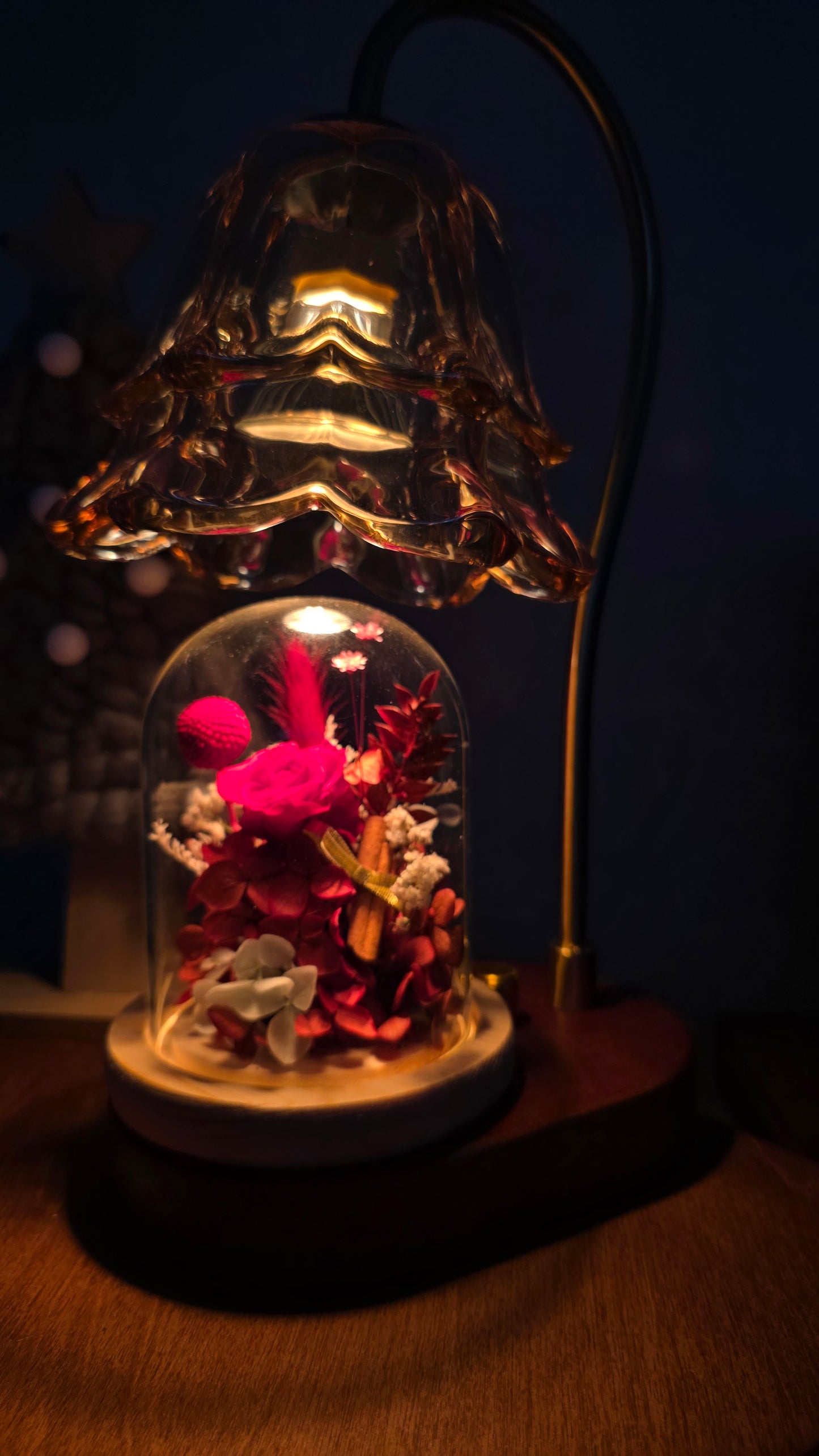 Petite Enchanted Crimson Preserved Flowers Dome