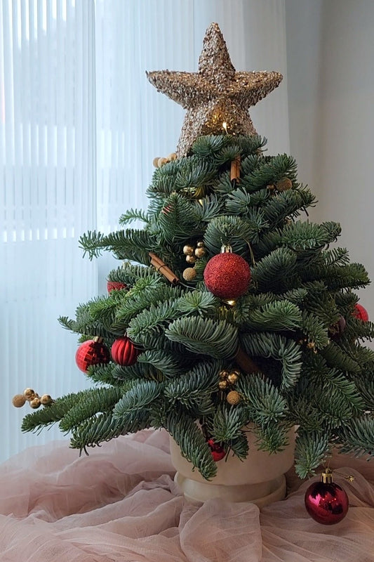 Tabletop Christmas Tree with Fresh Pine