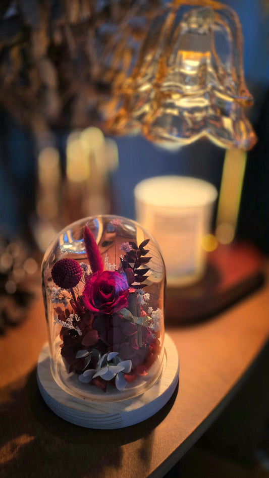 Petite Enchanted Crimson Preserved Flowers Dome