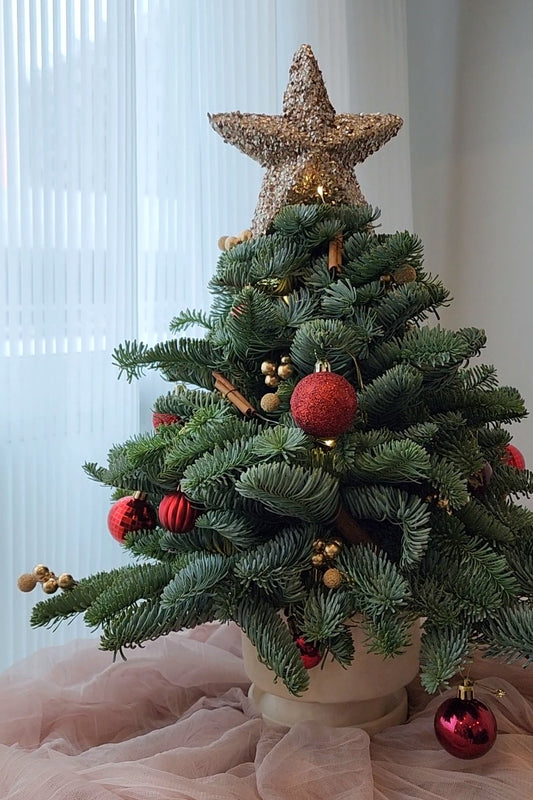 Decorated Christmas tree with red ornaments and a gold star on top, placed on a light pink surface.