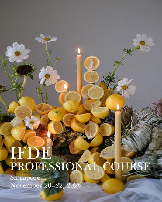 IFDE Korea Certification Professional Course in Singapore (Nov 20–22, 2026)