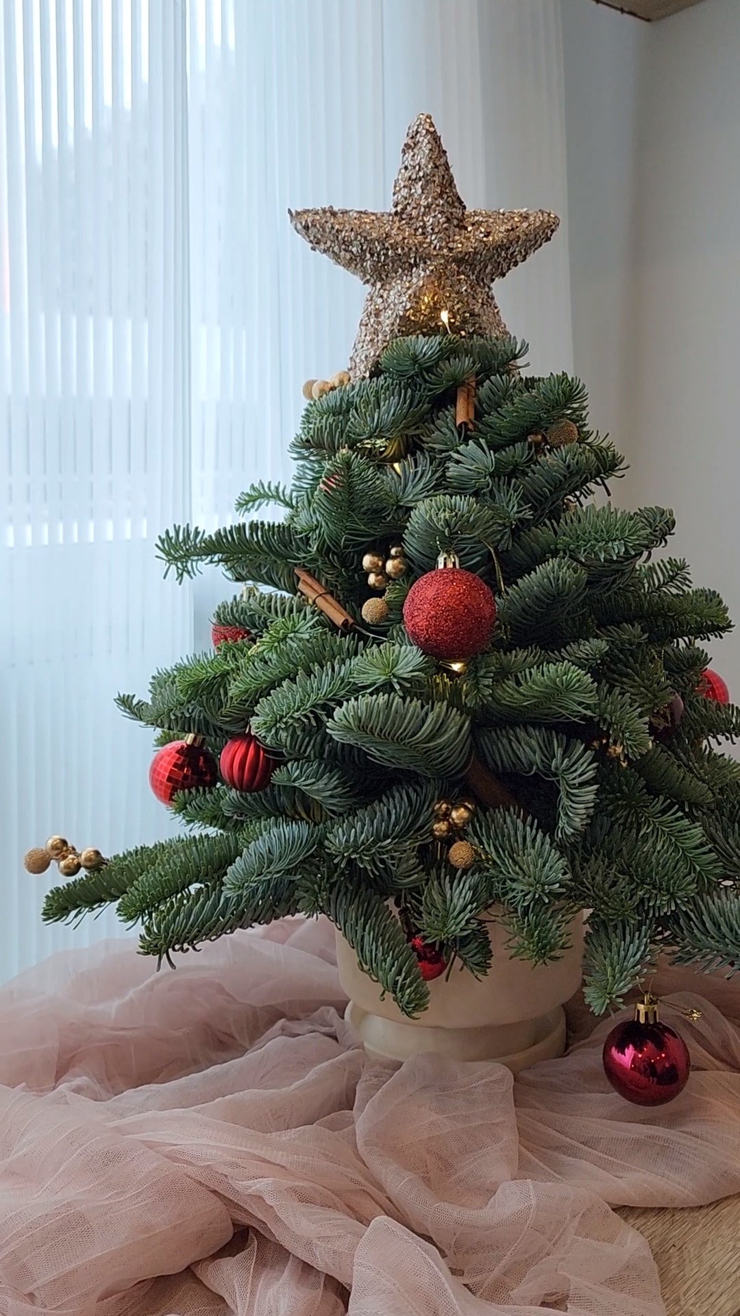 Christmas Workshop - Fresh Pine Tabletop Christmas Tree