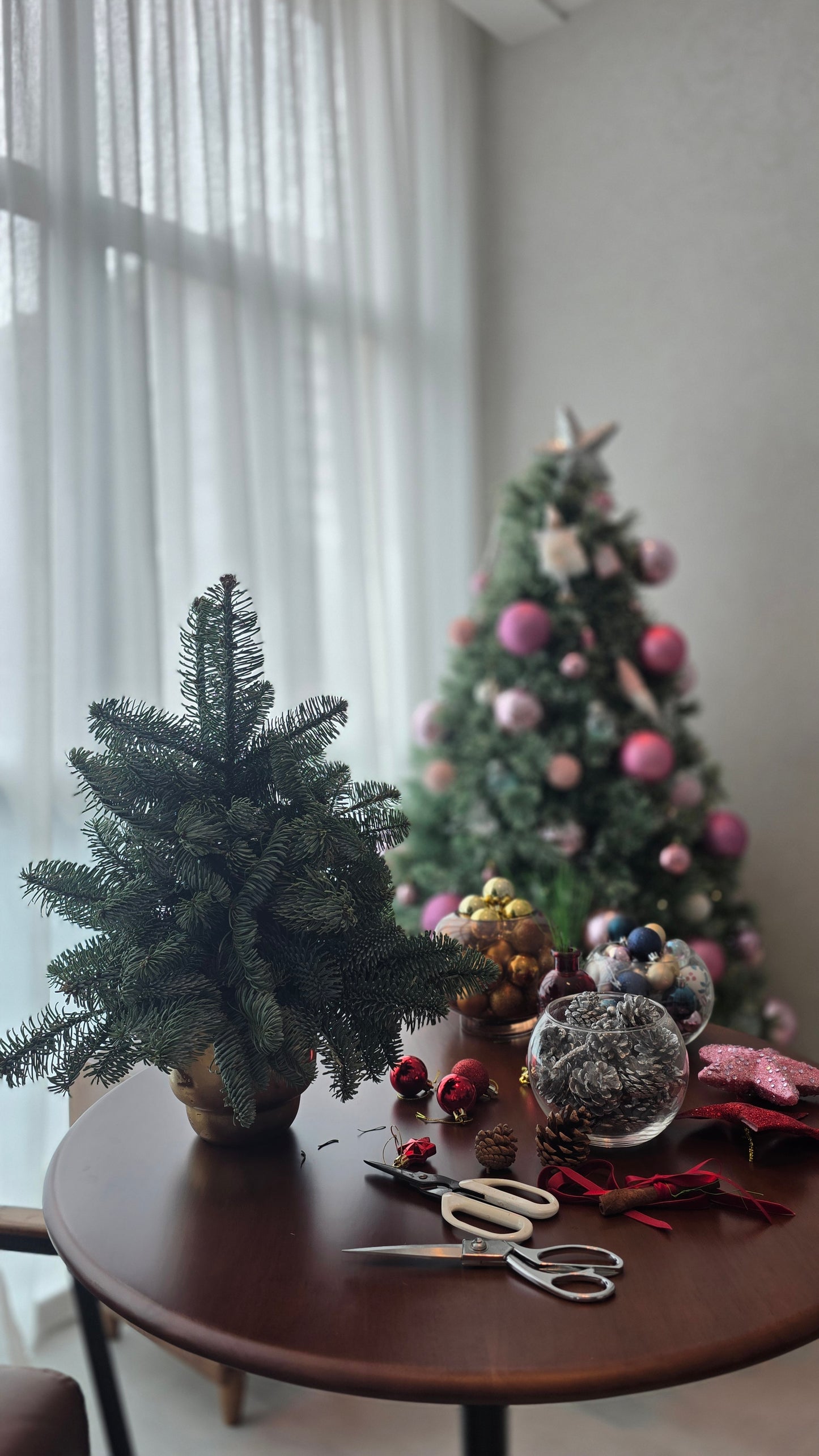 Christmas Workshop - Fresh Pine Tabletop Christmas Tree