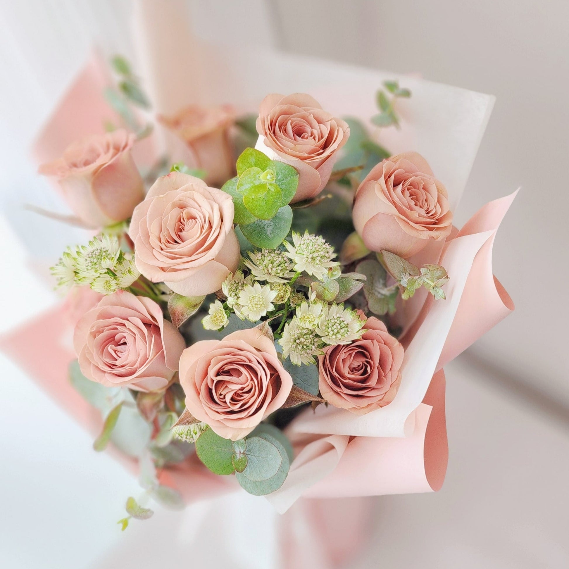 Kenya Cappucino Rose Bouquet with Pink Wrapping